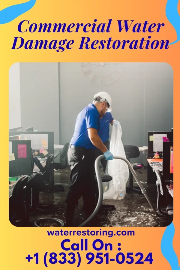 Commercial Water Damage Restoration in West Newton, PA