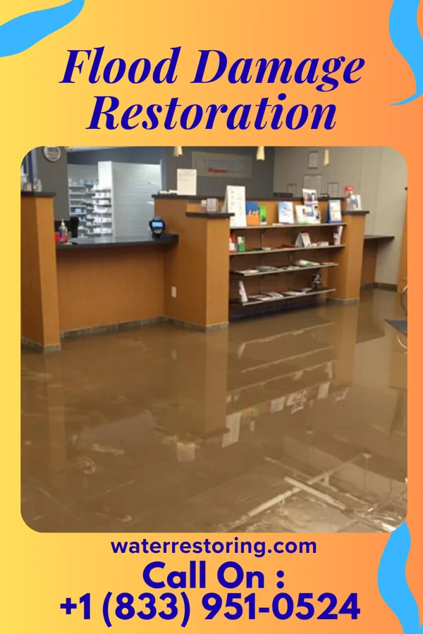 Flood Damage Restoration in West Newton, PA