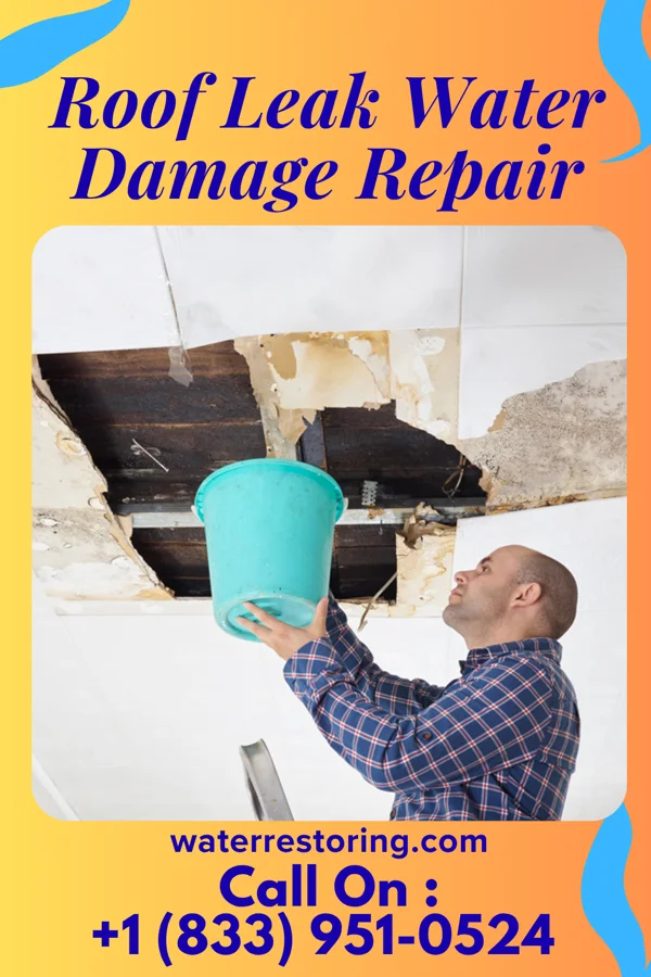 Roof Leak Water Damage Repair in West Newton, PA